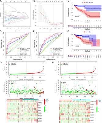 Constructing a novel signature and predicting the immune landscape of colon cancer using N6-methylandenosine-related lncRNAs